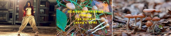ешки Белоозёрский