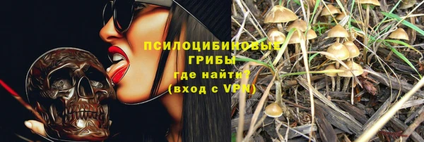 мяу мяу мука Беломорск