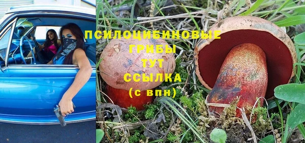 мяу мяу мука Беломорск