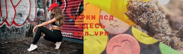 a pvp Белокуриха