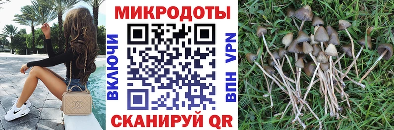 что такое   Онега  кракен рабочий сайт  Галлюциногенные грибы мухоморы 
